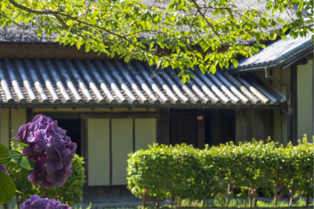 他社で断られた特別な条件にも対応